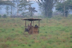 uganda-wildlife-safaris-kafu-river-basin-10