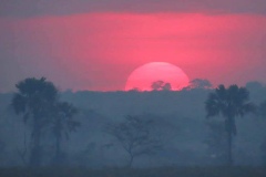uganda-wildlife-safaris-kafu-river-basin-11