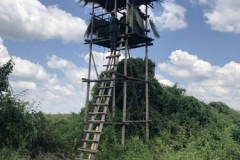 uganda-wildlife-safaris-kafu-river-basin-111