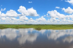 uganda-wildlife-safaris-kafu-river-basin-63