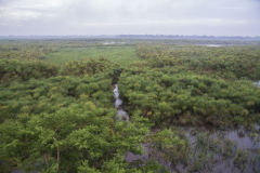 Kafu River Basin
