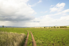 Kidepo Valley & Karamoja