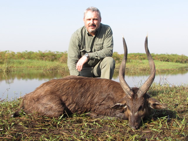 sitatunga2