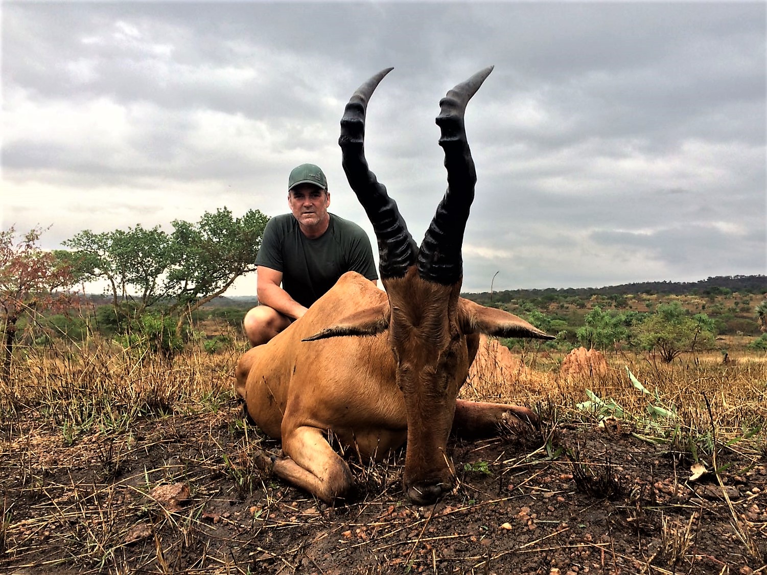 uganda wildlife safaris trophy photos 2017 (13) hartebeest