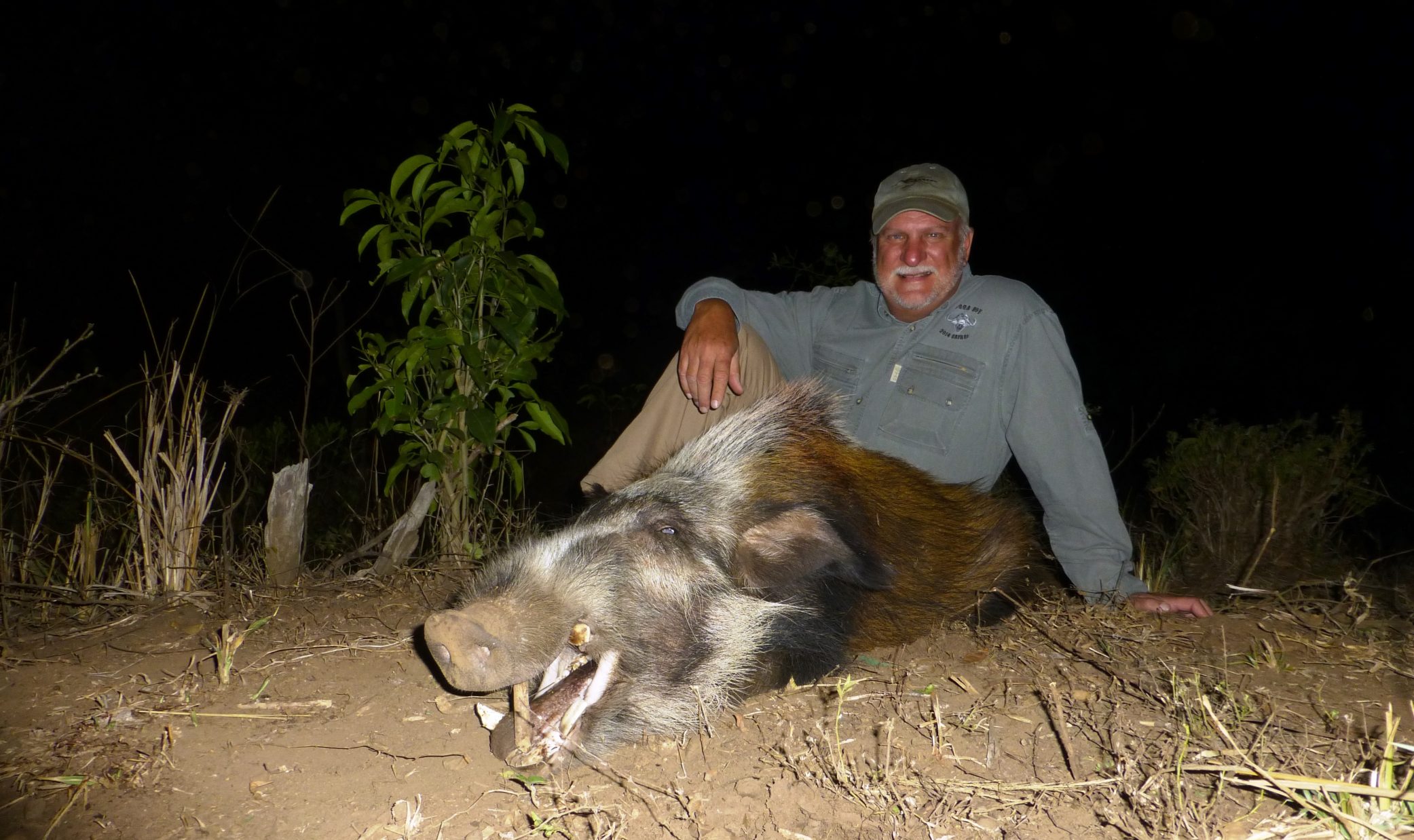 uganda wildlife safaris trophy photos 2017 (14) bushpig