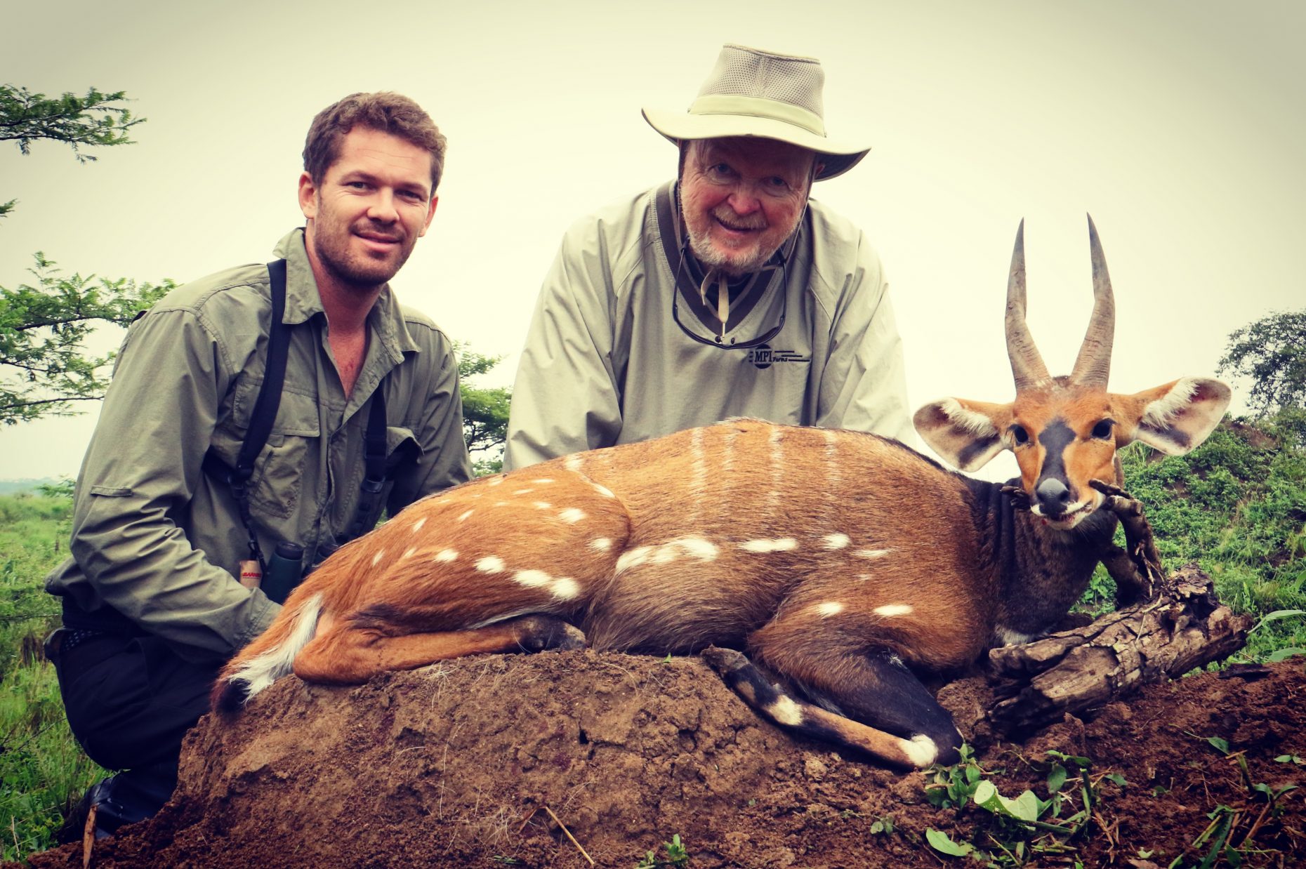 uganda wildlife safaris trophy photos 2017 (39) bushbuck