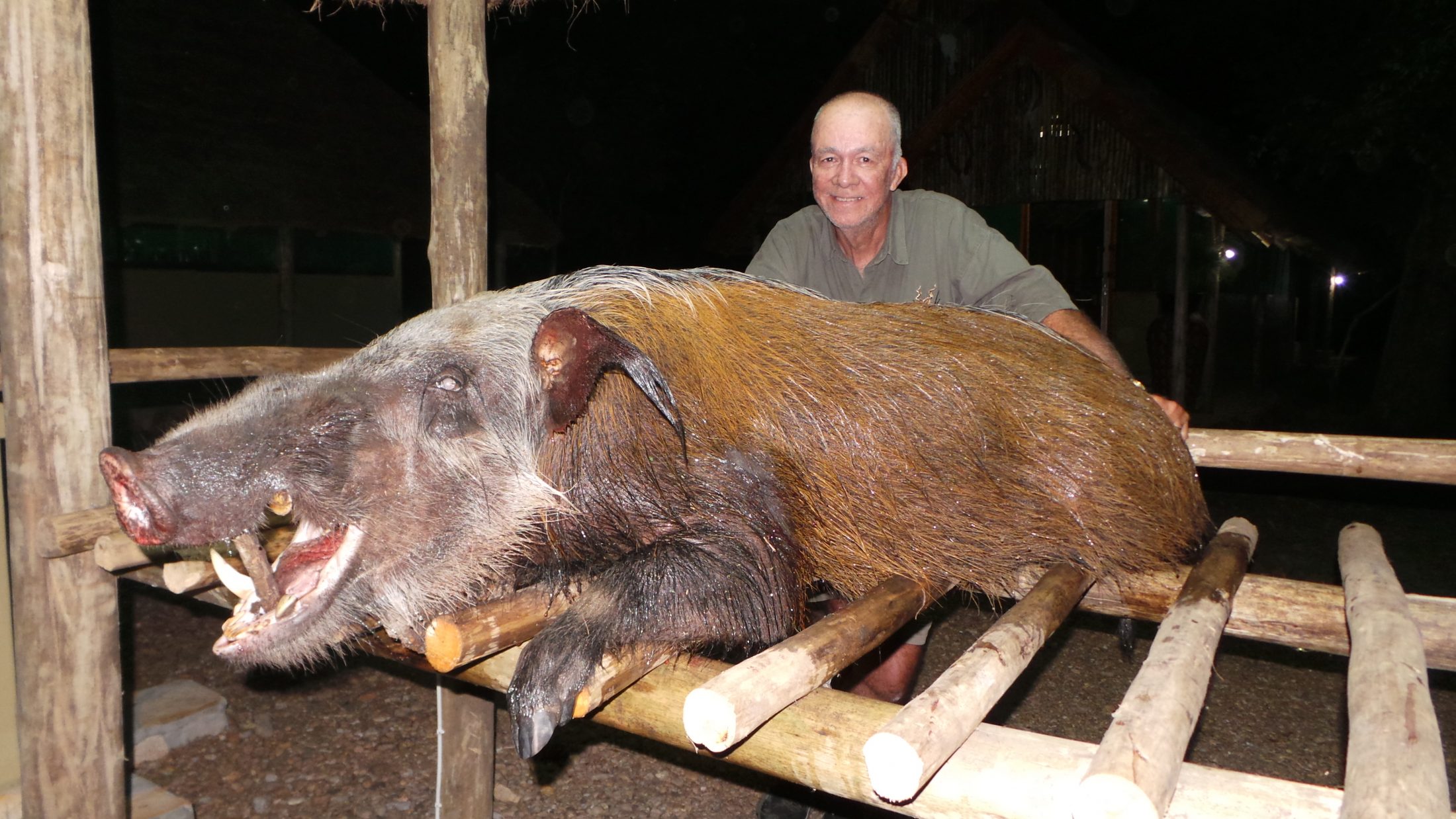 uganda wildlife safaris trophy photos 2017 (42) bushpig