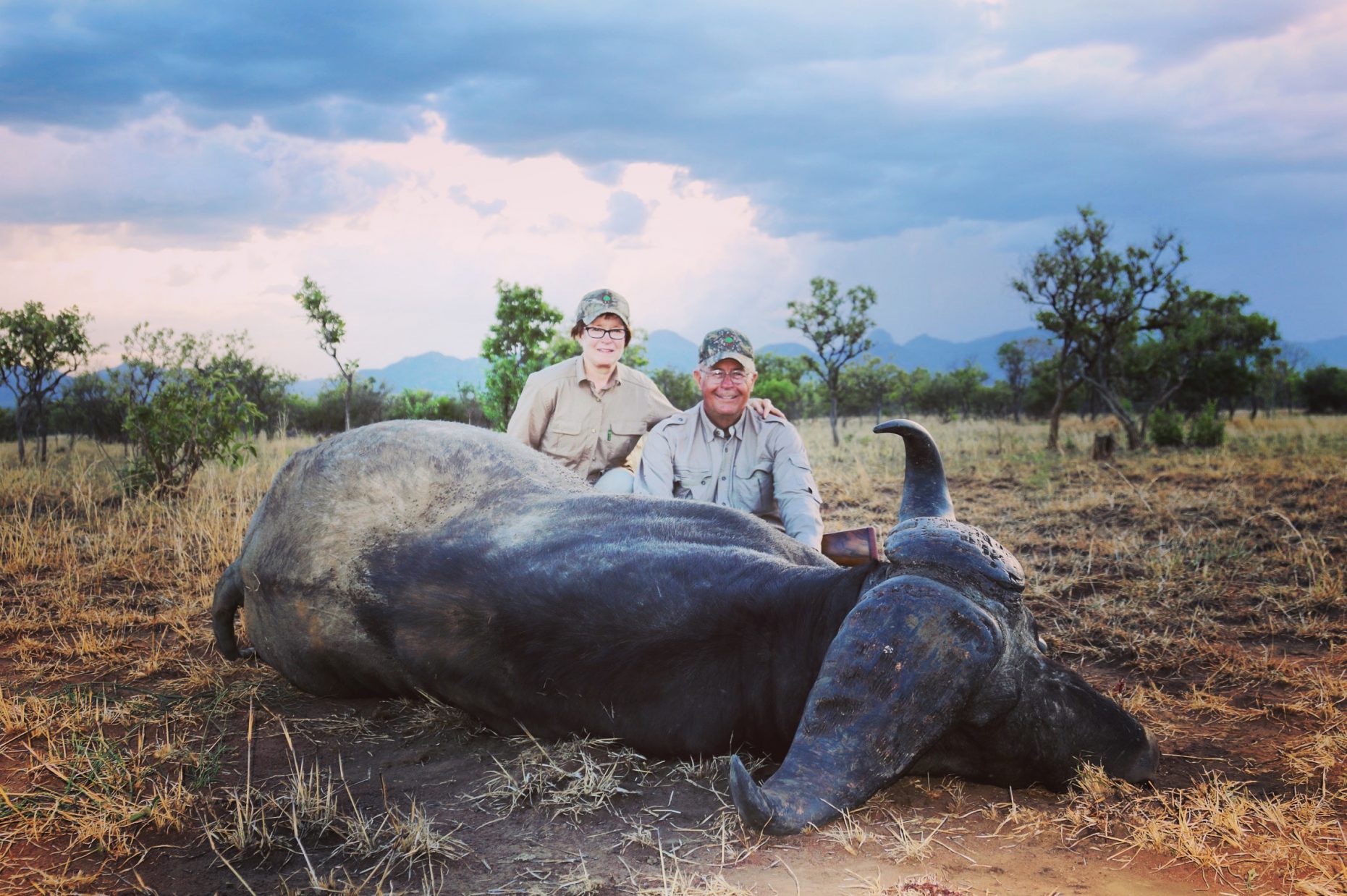 uganda wildlife safaris trophy photos 2017 (46) buffalo