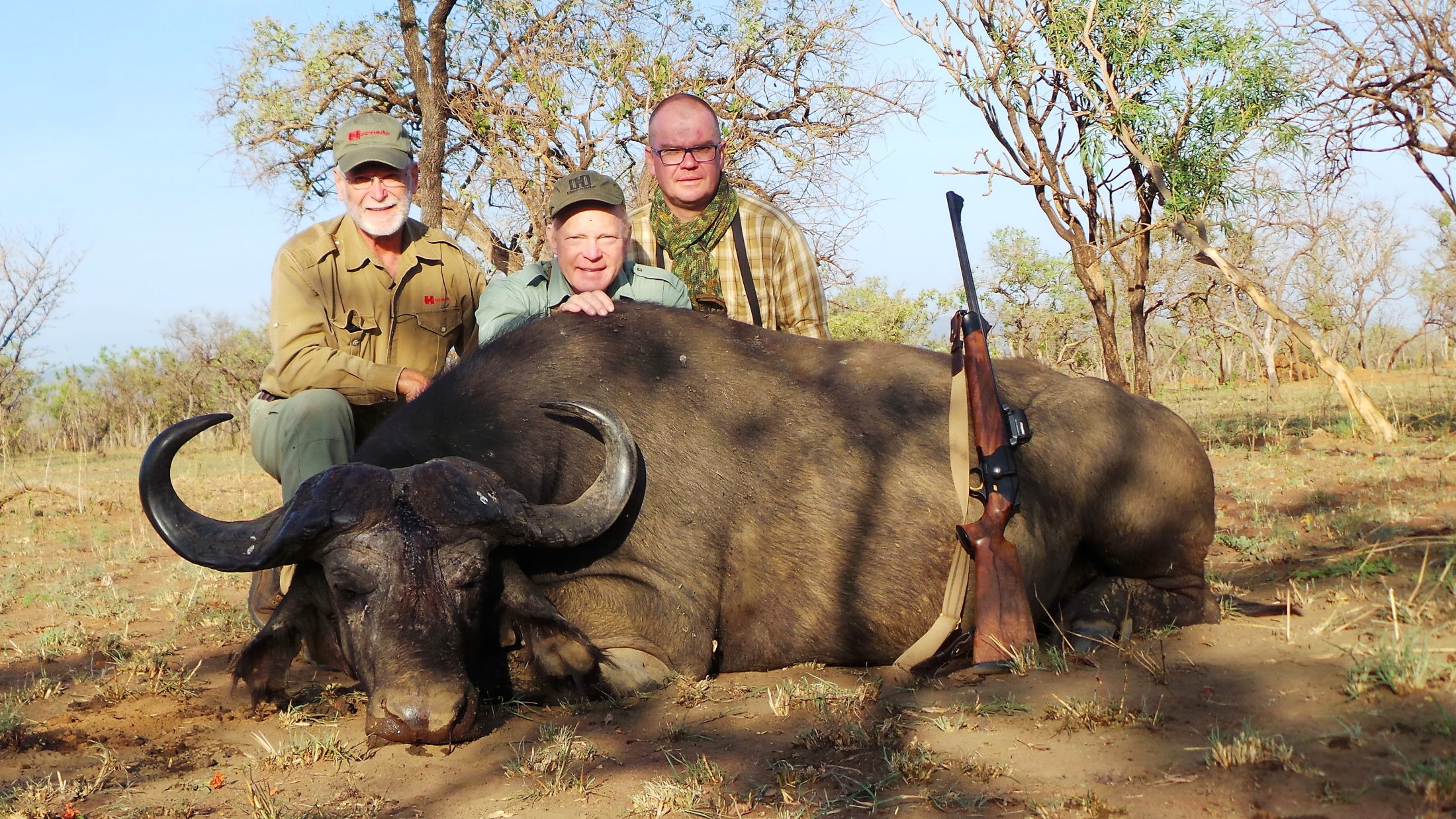 uganda wildlife safaris trophy photos 2017 (2) buffalo